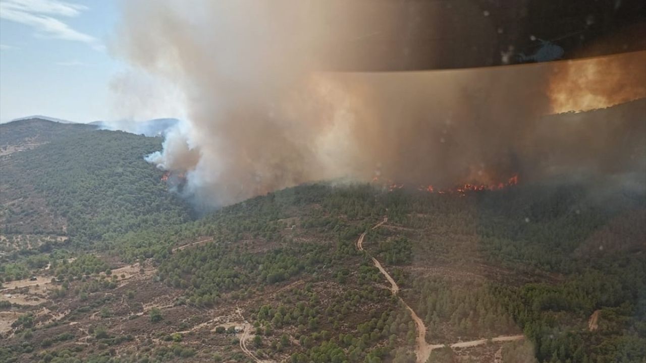 İzmir'deki Yangına Havadan ve Karadan Müdahale