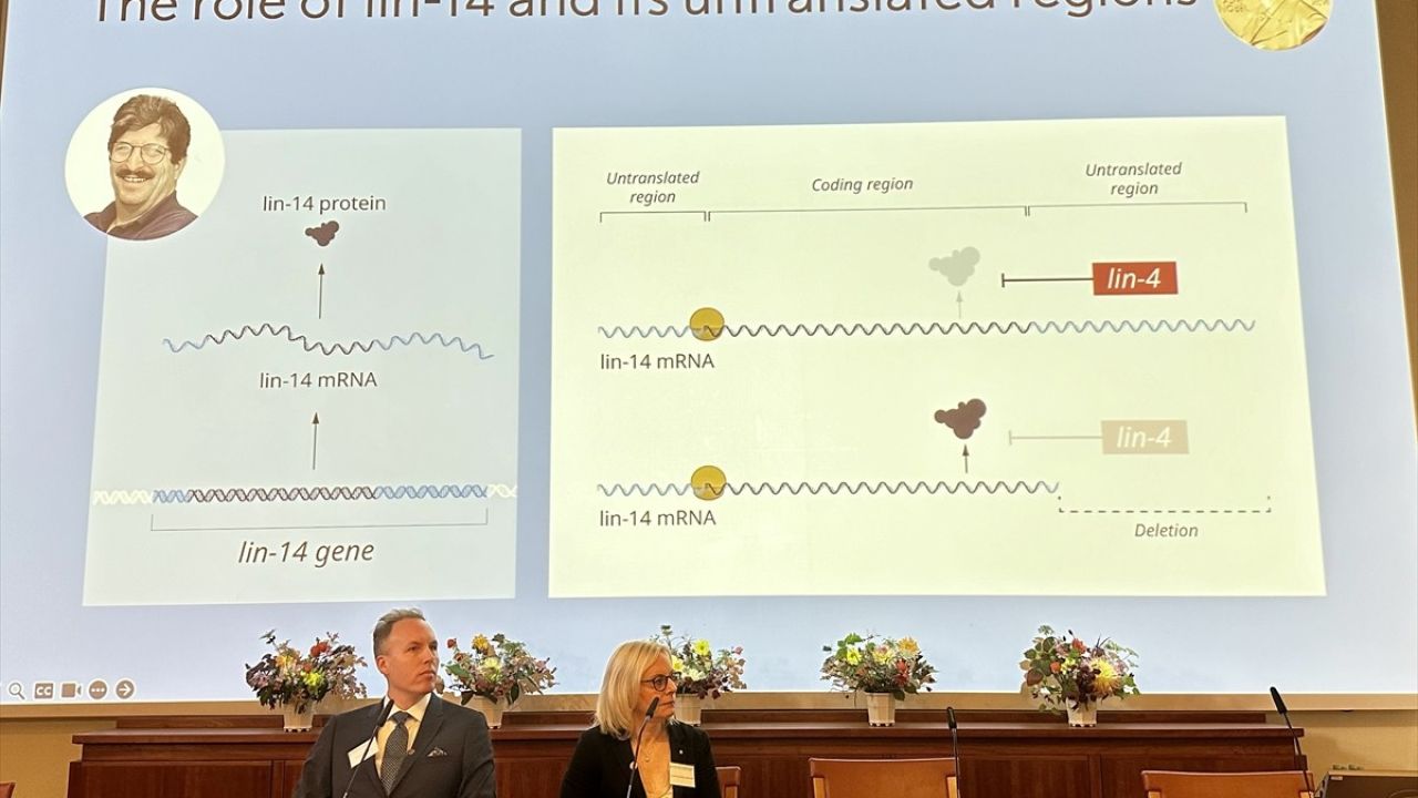 2024 Nobel Tıp Ödülü ile MikroRNA'nın Keşfi Öne Çıktı