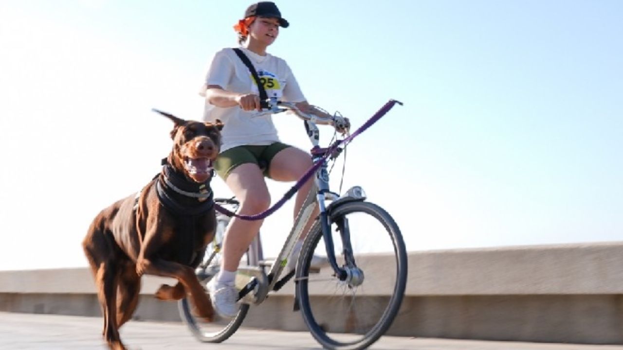 İzmir Konak'ta bisikletli ve köpekli koşu etkinliği düzenlendi