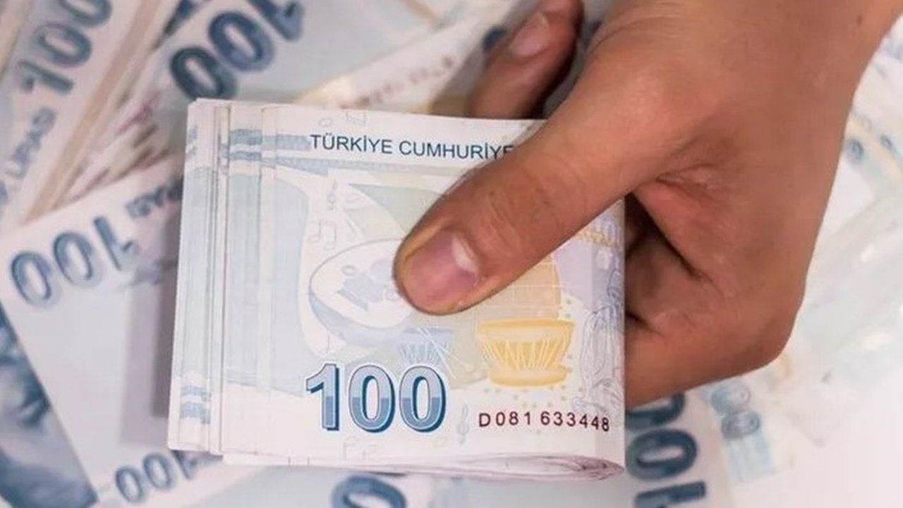 11 HANELİ TC KİMLİK numaranız üzerinden, 100.000 TL ödemeler ay sonuna kadar verilecek