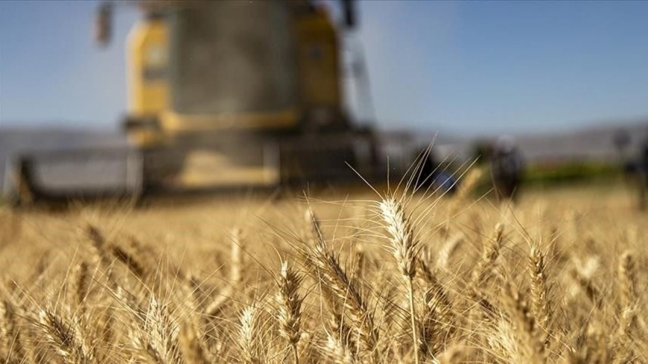 Ekim Ayı Tarımsal Destek Ödemeleri Yatmaya Başladı