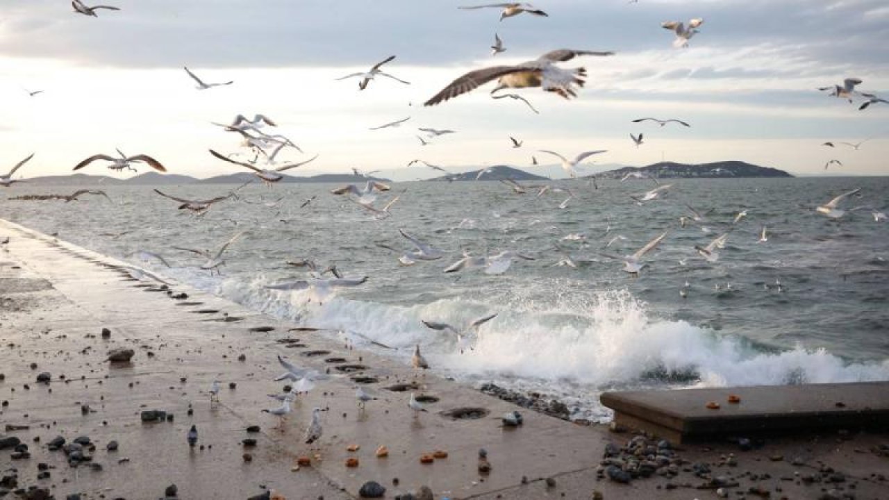 Marmara ve Kuzey Ege'de Kuvvetli Lodos Uyarısı