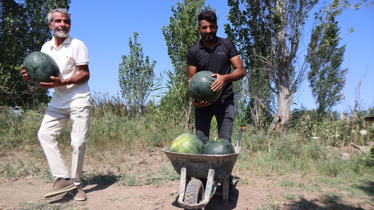 Iğdır'da Karpuz Hasadı İçin Tarla Günü Etkinliği Düzenlendi