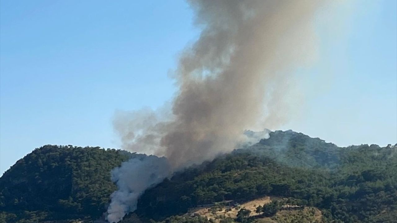 Ayvacık'ta Orman Yangınına Hızla Müdahale Devam Ediyor