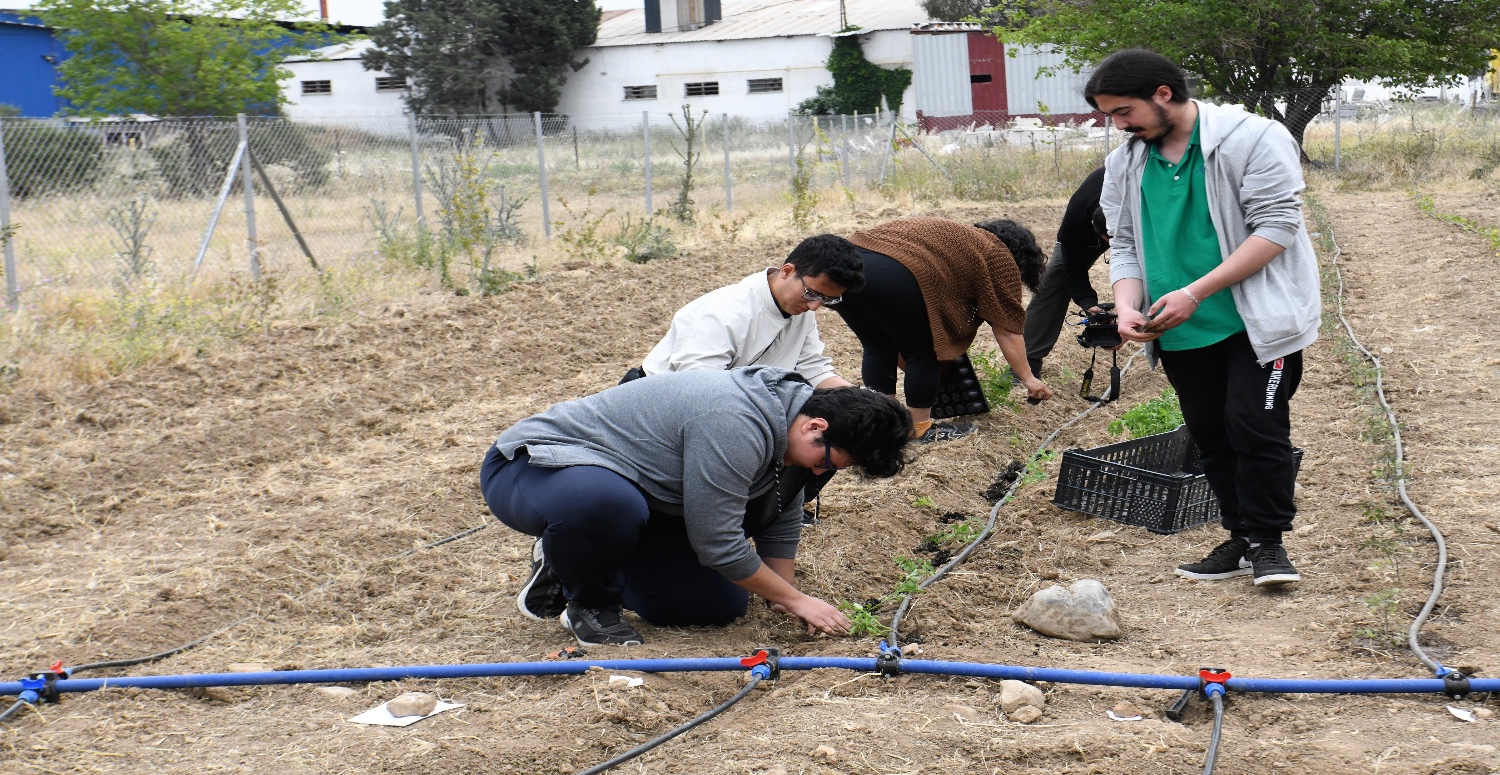 Bornova'da tarım eğitimi başlıyor