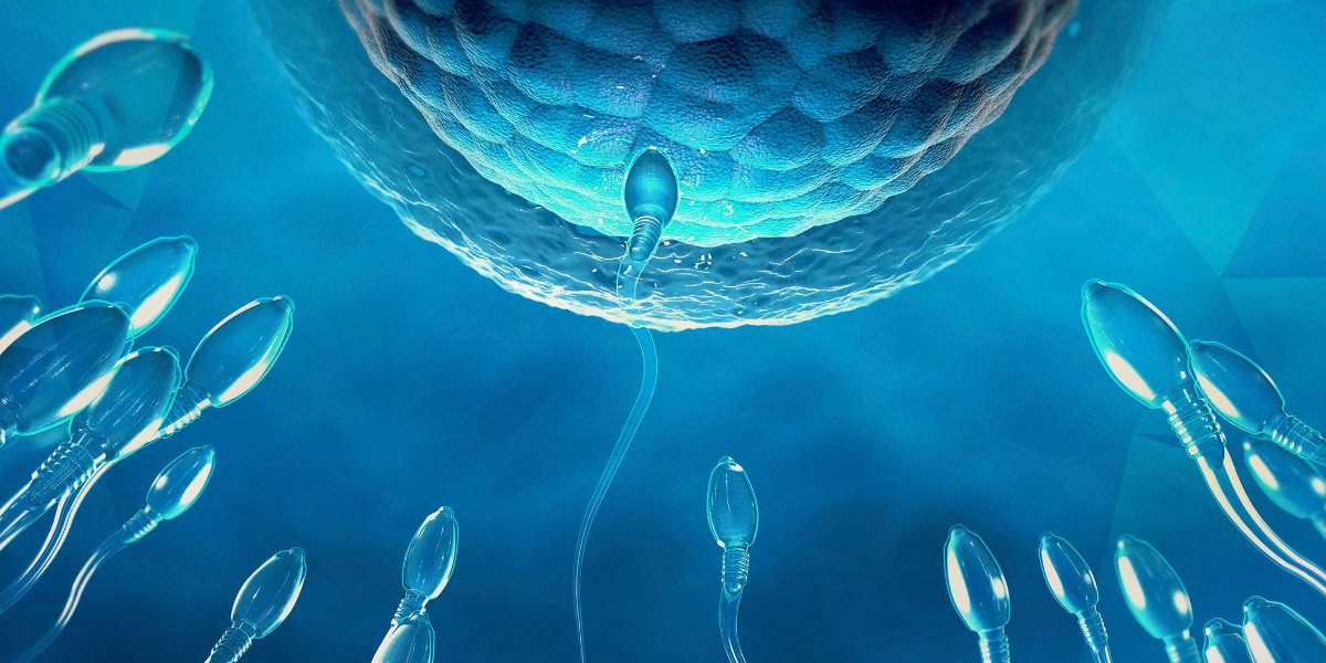 sperm sayısı düşüyor