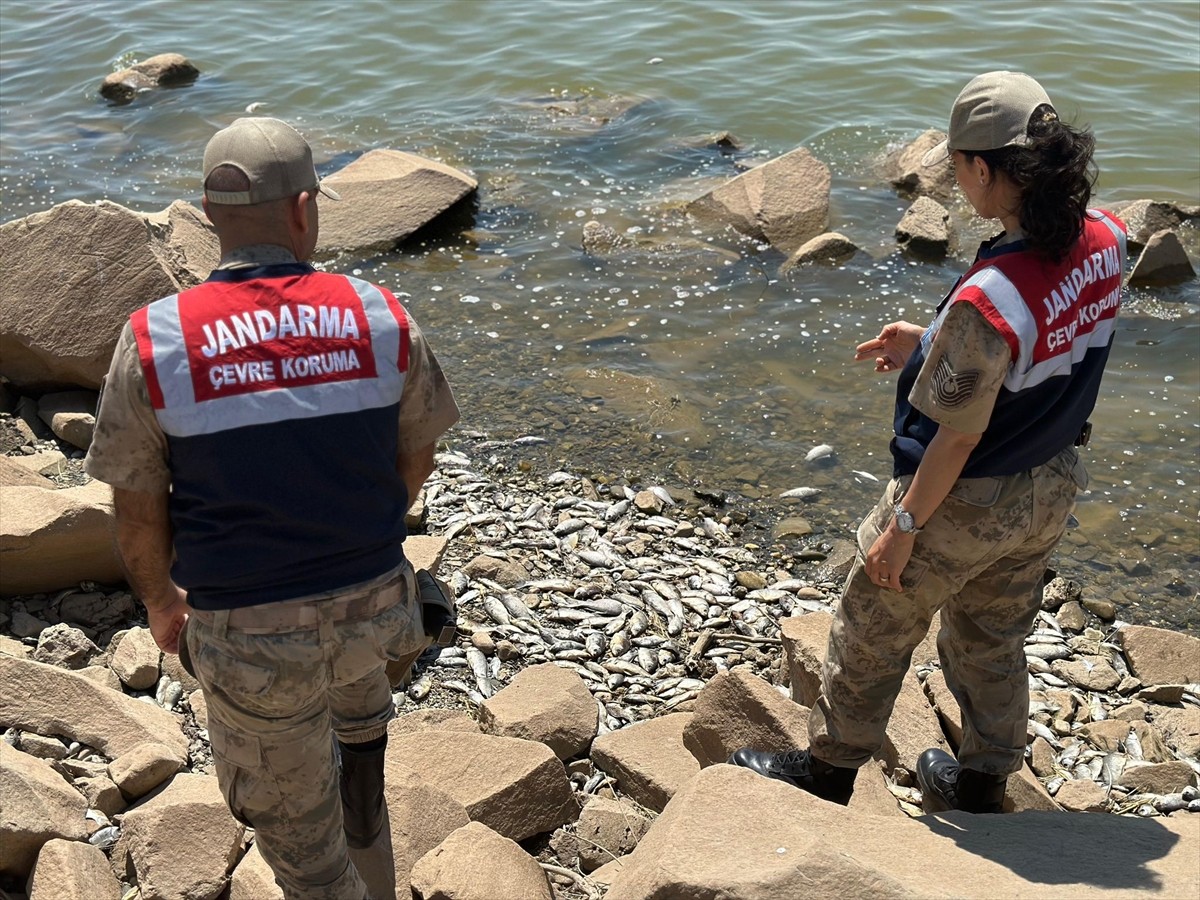 Diyarbakır'daki Devegeçidi Baraj Gölü'nde balık ölümleriyle ilgili inceleme başlatıldı.