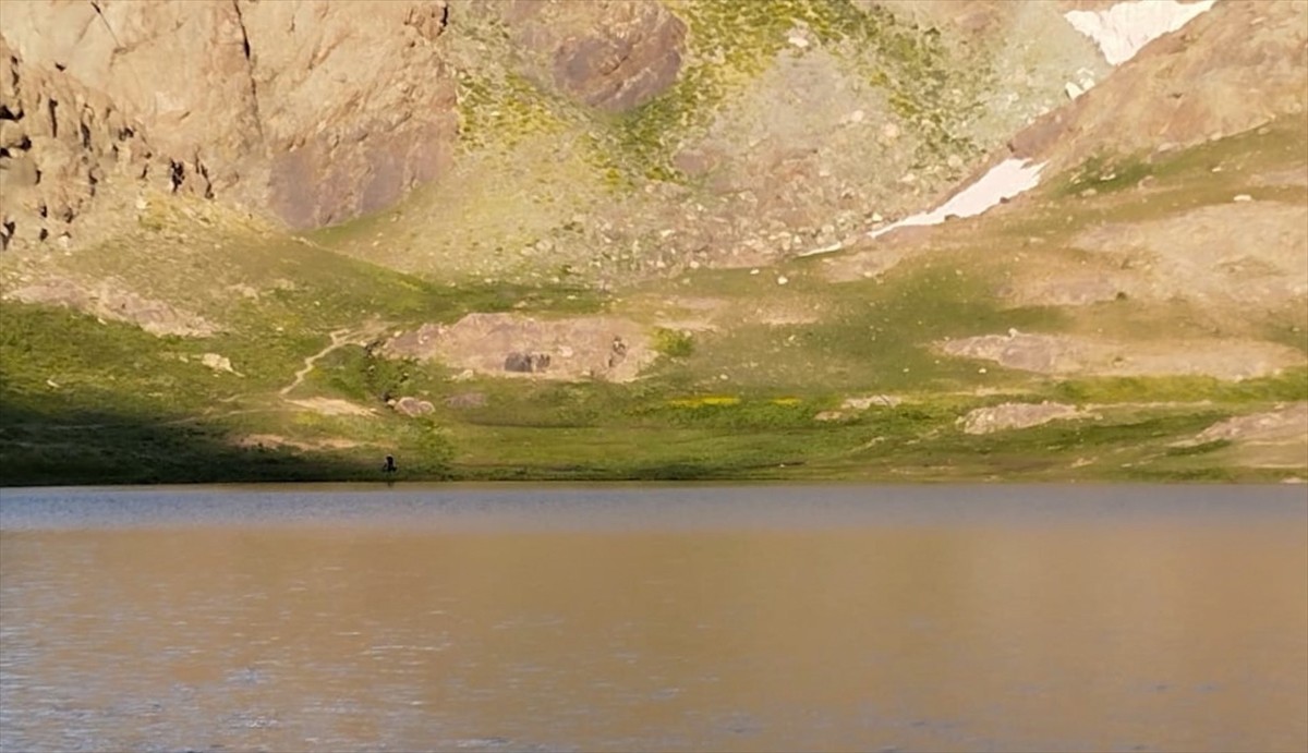 Yüksekova ilçesinde bu yıl altıncısı düzenlenen "Cilo Festivali'nin (Cilo Fest) yapıldığı alan...