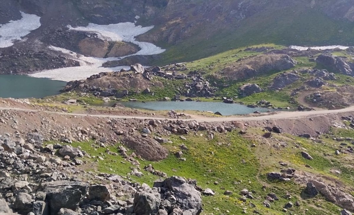 Yüksekova ilçesinde bu yıl altıncısı düzenlenen "Cilo Festivali'nin (Cilo Fest) yapıldığı alan...