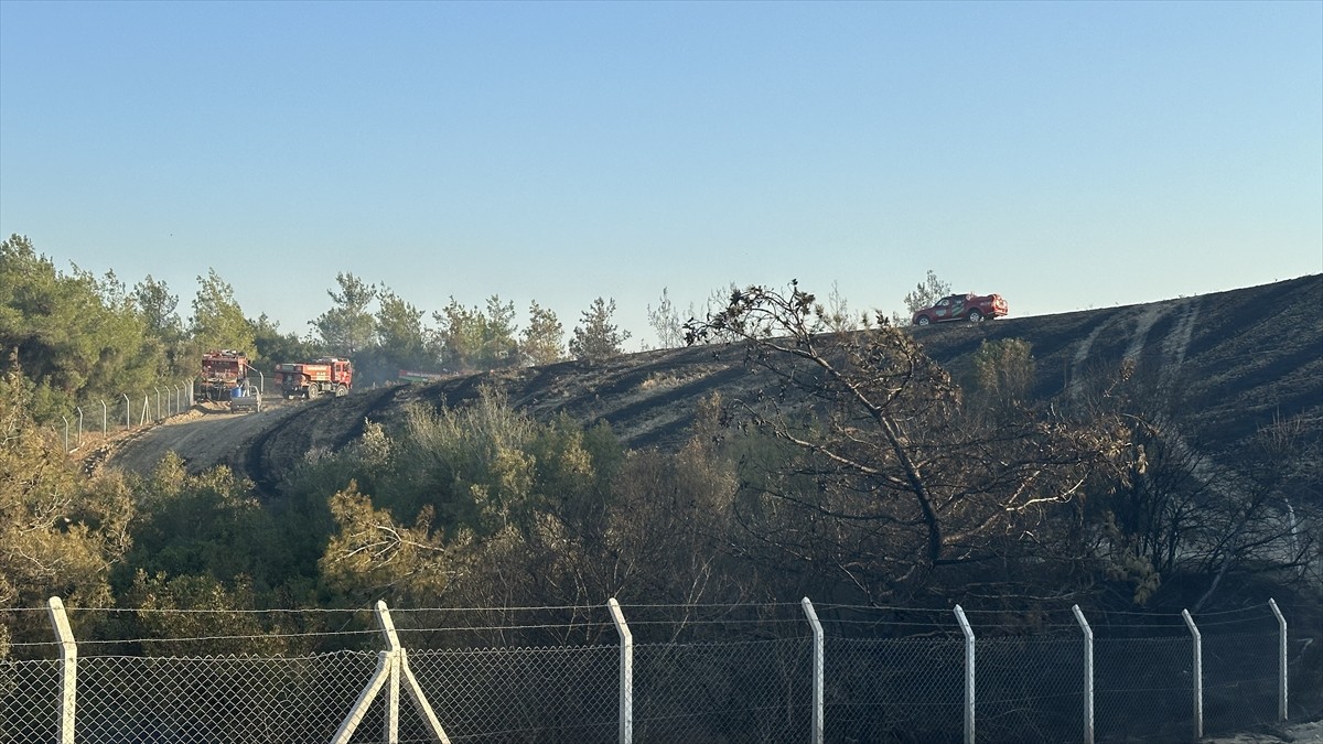 Adana'nın merkez Sarıçam ilçesinde ormanlık alana sıçrayan anız yangını, ekiplerin havadan ve...