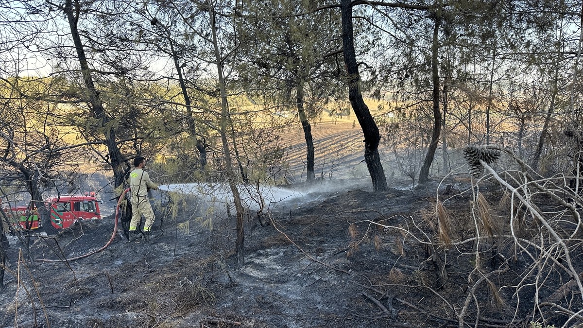 Adana'nın merkez Sarıçam ilçesinde ormanlık alana sıçrayan anız yangını, ekiplerin havadan ve...