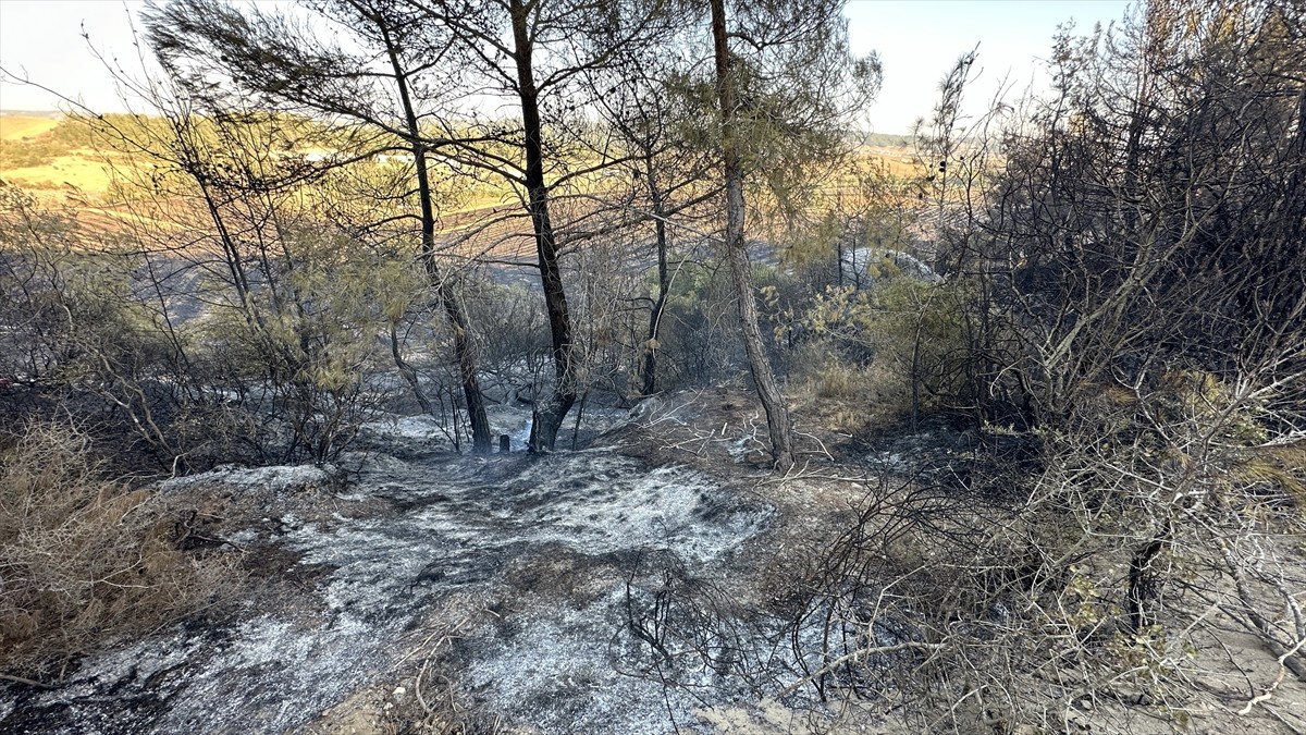 Adana'nın merkez Sarıçam ilçesinde ormanlık alana sıçrayan anız yangını, ekiplerin havadan ve...