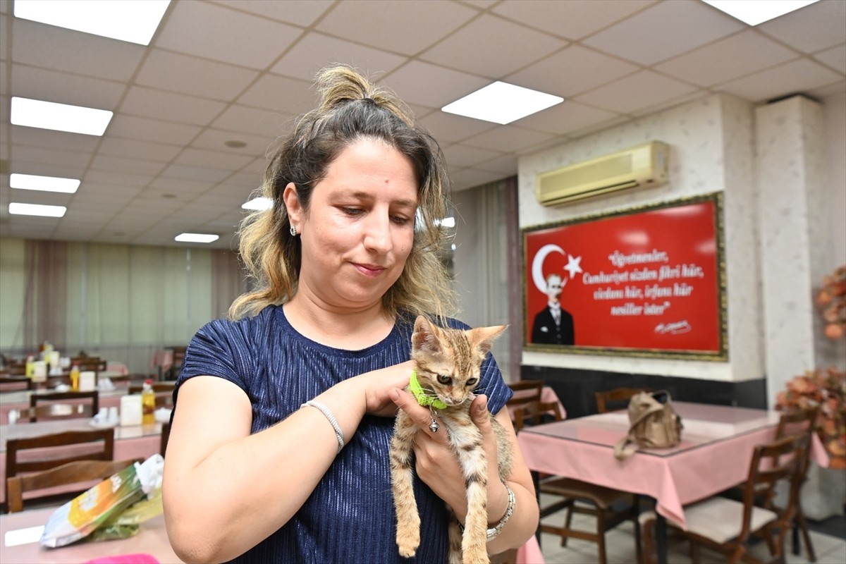 Balıkesir'de bir apartman dairesinde çıkan yangında dumandan etkilenen ve kadın itfaiyecinin...