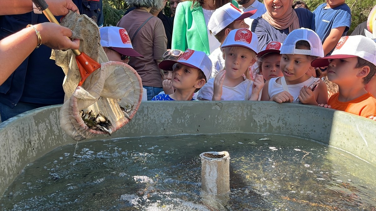 Çanakkale'deki baraj ve göletlere, Tarım ve Orman Bakanlığının "Su Kaynaklarının Balıklandırılması...