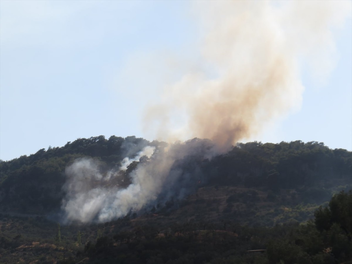 Çanakkale'nin Ayvacık ilçesinde çıkan orman yangınına havadan ve karadan müdahale...