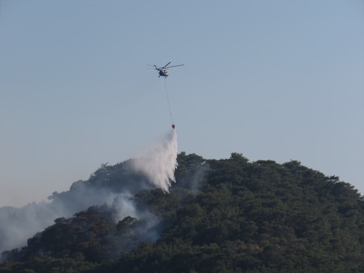 Çanakkale'nin Ayvacık ilçesinde çıkan orman yangınına havadan ve karadan müdahale...