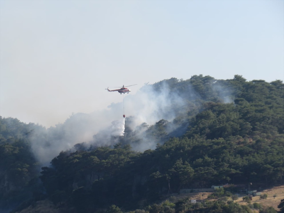 Çanakkale'nin Ayvacık ilçesinde çıkan orman yangınına havadan ve karadan müdahale...