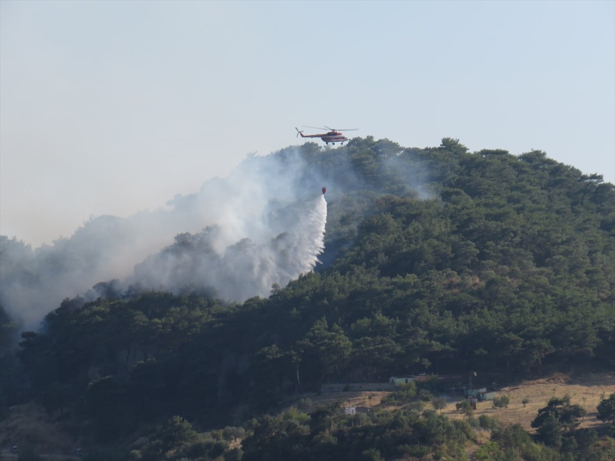 Çanakkale'nin Ayvacık ilçesinde çıkan orman yangınına havadan ve karadan müdahale...