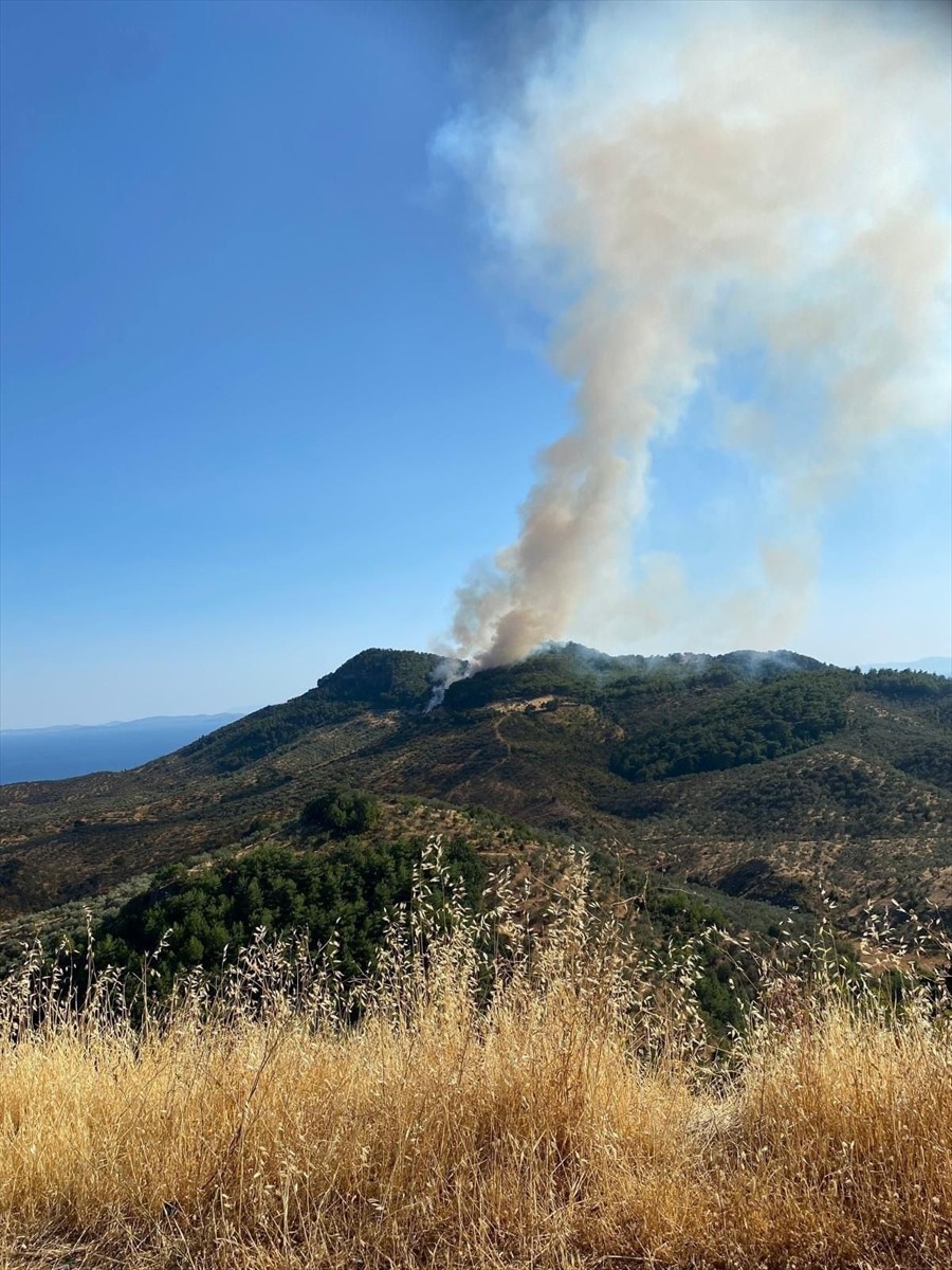 Çanakkale'nin Ayvacık ilçesinde çıkan orman yangınına havadan ve karadan müdahale ediliyor.