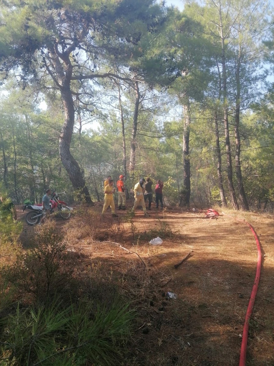 Çanakkale'nin Ayvacık ilçesinde çıkan orman yangınına havadan ve karadan müdahale ediliyor.