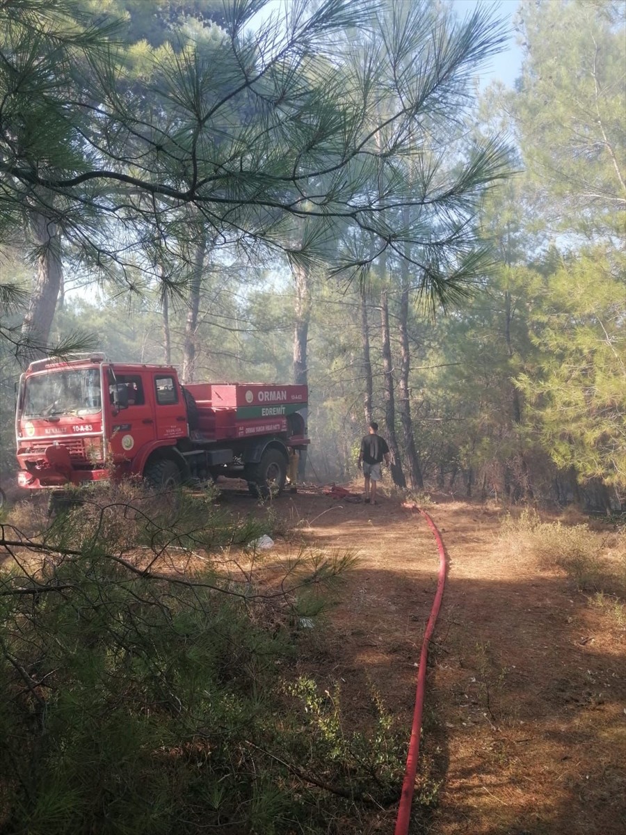 Çanakkale'nin Ayvacık ilçesinde çıkan orman yangınına havadan ve karadan müdahale ediliyor.