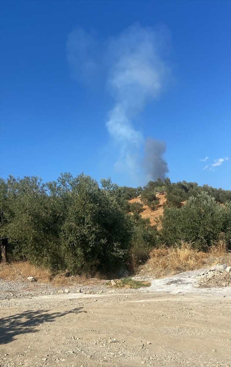 Çanakkale'nin Ayvacık ilçesinde çıkan orman yangınına havadan ve karadan müdahale ediliyor.