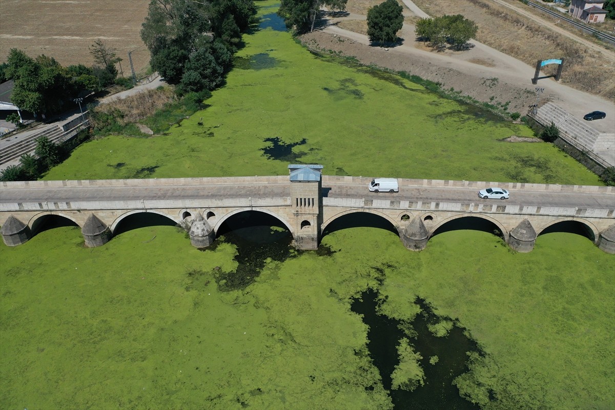 Edirne, Kırklareli ve Tekirdağ'da sıcak hava yaşamı olumsuz etkiliyor. Edirne'de, sıcak hava...