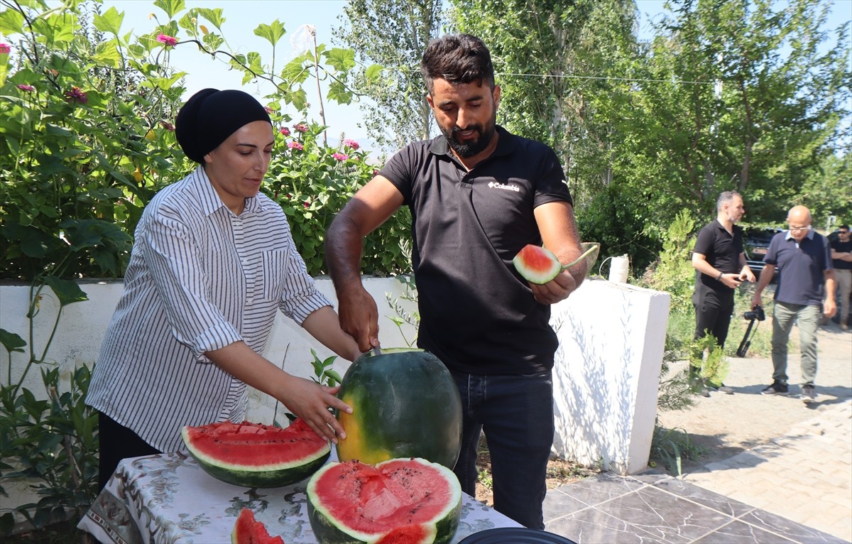 Iğdır'da üretilen karpuzun bu yıl dördüncü hasadı, düzenlenen Tarla Günü etkinliğiyle...