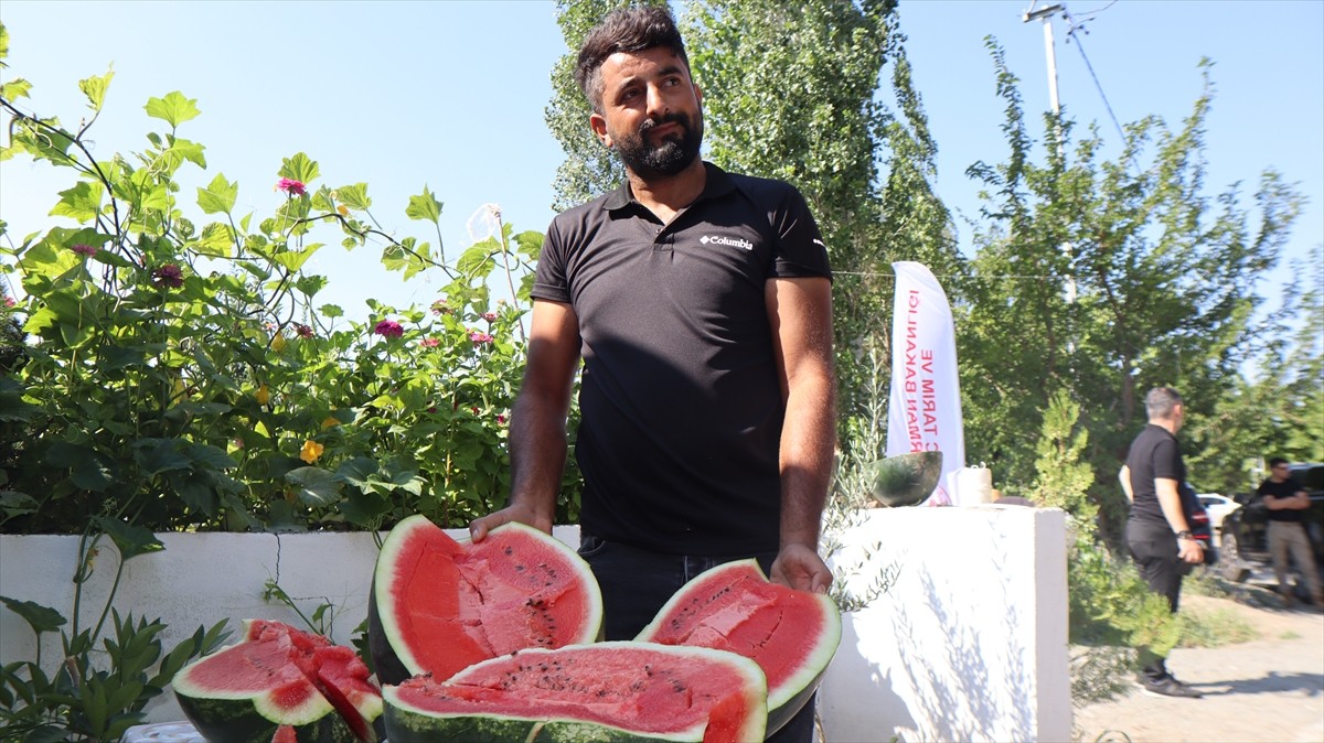 Iğdır'da üretilen karpuzun bu yıl dördüncü hasadı, düzenlenen Tarla Günü etkinliğiyle...