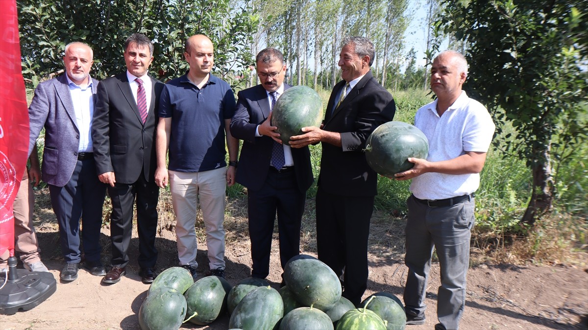 Iğdır'da üretilen karpuzun bu yıl dördüncü hasadı, düzenlenen Tarla Günü etkinliğiyle...