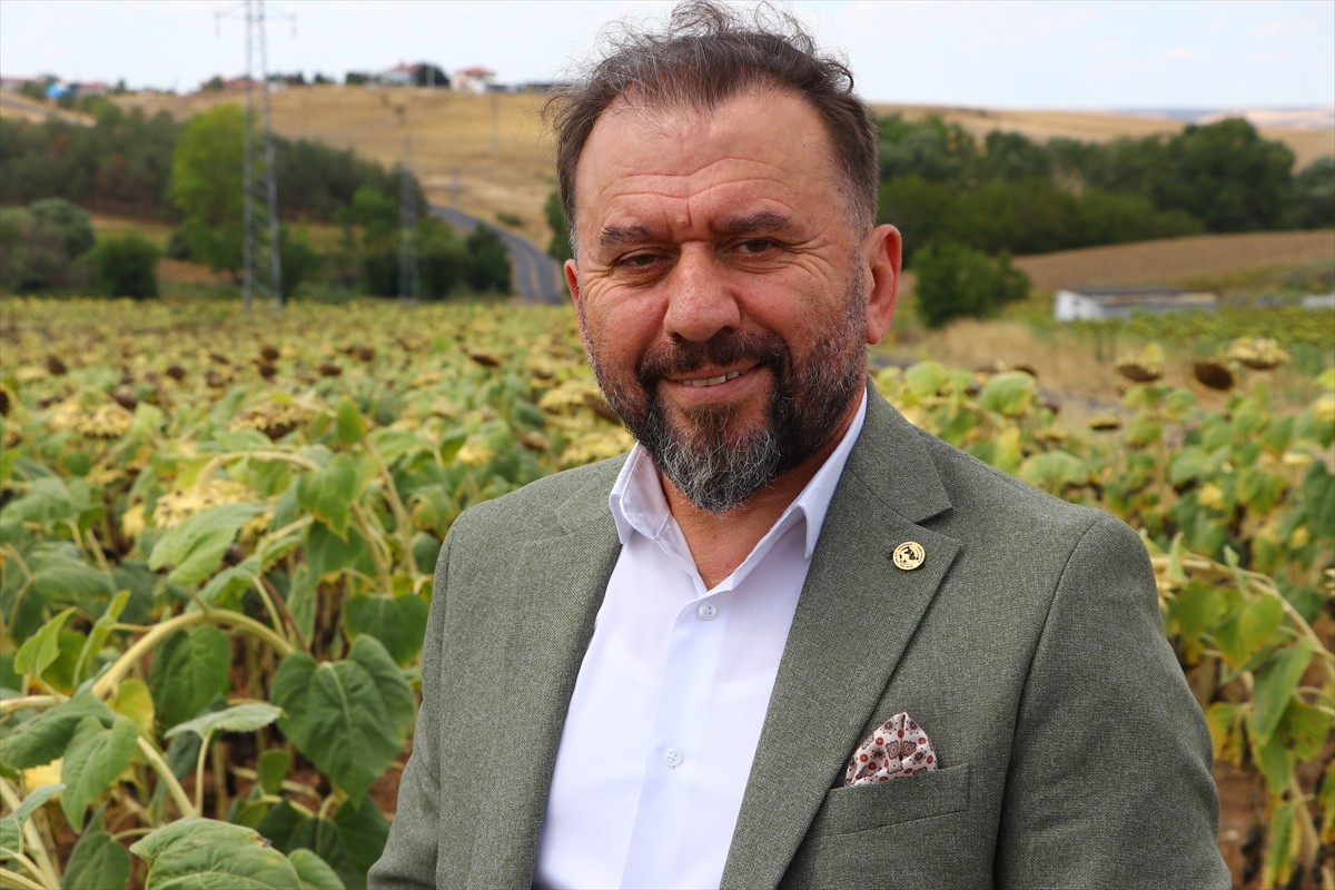 Trakya Tohumcular Derneği Başkanı İbrahim Toruk, deneme ekiminin başarılı olmasının ardından geçen...