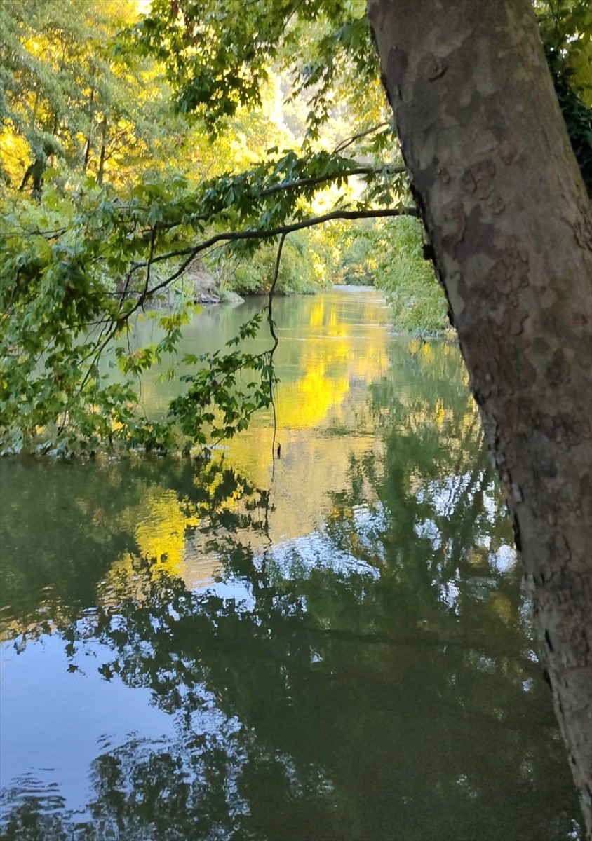 Balıkesir'in Gönen ilçesinde, arkadaşlarıyla piknik yaptığı yerde çaya giren ve akıntıya kapılıp...