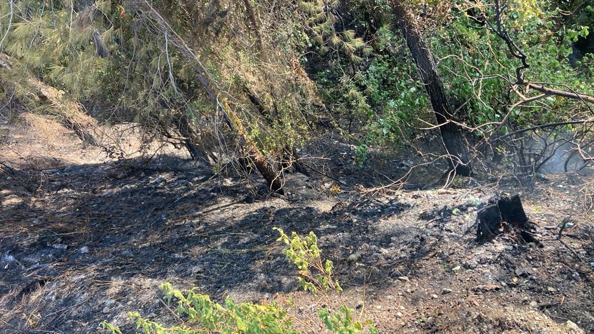 Hatay'ın Dörtyol ilçesinde ormanlık alanda çıkan yangın, ekiplerin müdahalesiyle büyümeden...