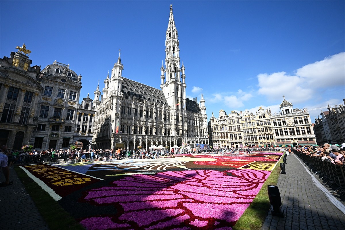 Belçika'nın başkenti Brüksel'in tarihi Grand Place meydanına "çiçeklerden yapılan halı" döşendi....