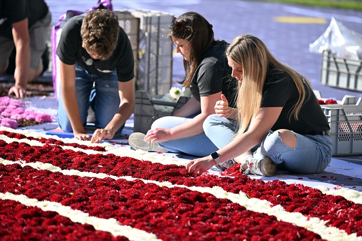 Belçika'nın başkenti Brüksel'in tarihi Grand Place meydanına "çiçeklerden yapılan halı" döşendi....