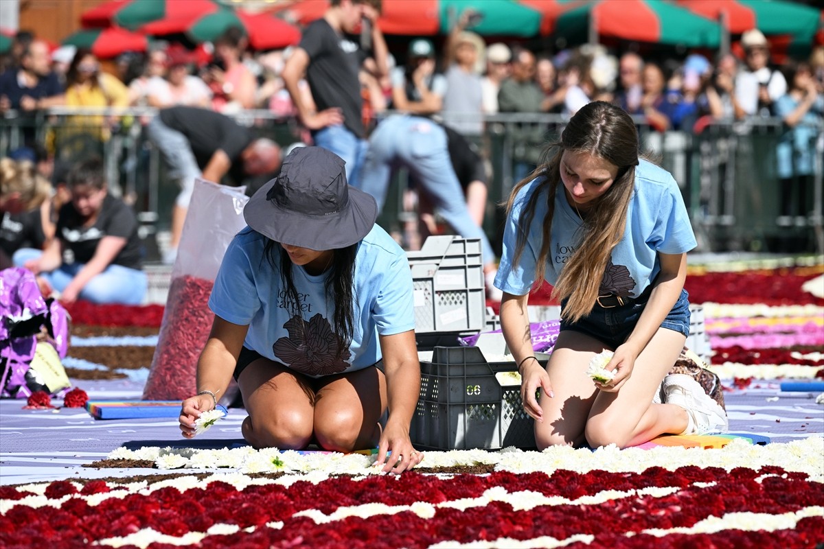 Belçika'nın başkenti Brüksel'in tarihi Grand Place meydanına "çiçeklerden yapılan halı" döşendi....