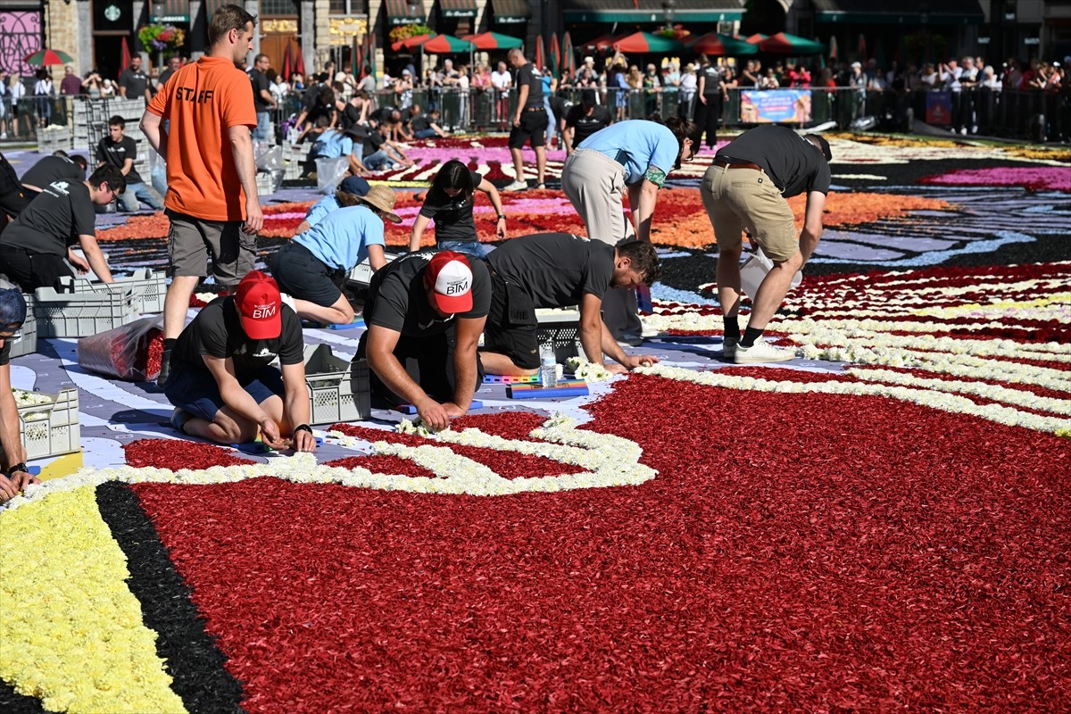 Belçika'nın başkenti Brüksel'in tarihi Grand Place meydanına "çiçeklerden yapılan halı" döşendi....