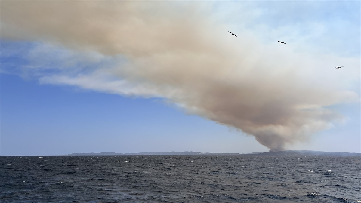 Çanakkale'nin Eceabat ilçesinde çıkan orman yangınına havadan ve karadan müdahale edildi.