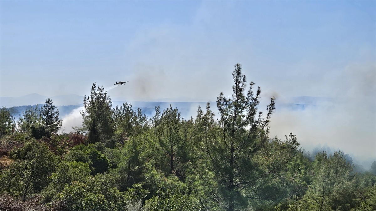 Çanakkale'nin Eceabat ilçesinde çıkan orman yangınına havadan ve karadan müdahale ediliyor.