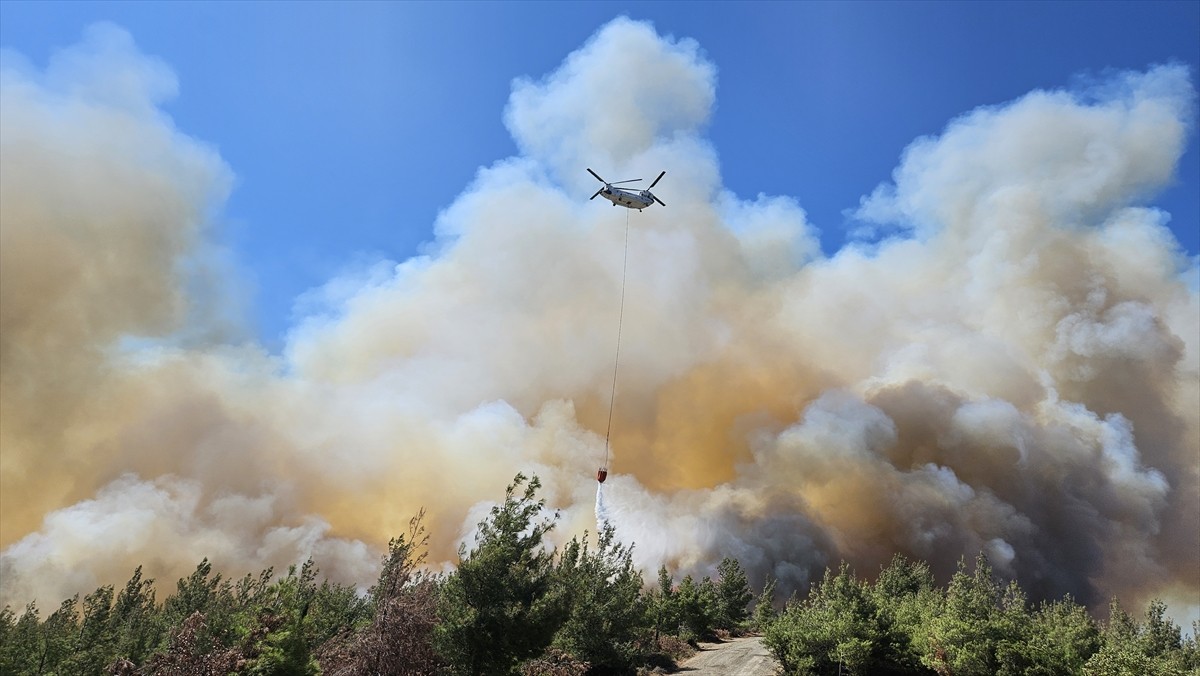 Çanakkale'nin Eceabat ilçesinde çıkan orman yangınına havadan ve karadan müdahale ediliyor.