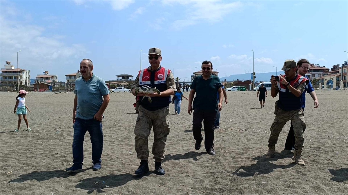 Hatay'ın Samandağ ilçesinde, çeşitli nedenlerle gördükleri tedavileri tamamlanan 4 yeşil deniz...