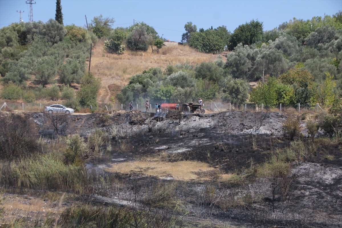 Antalya’nın Serik ilçesinde makilikten ormanlık alana, zeytin ve narenciye bahçelerine sıçrayan...