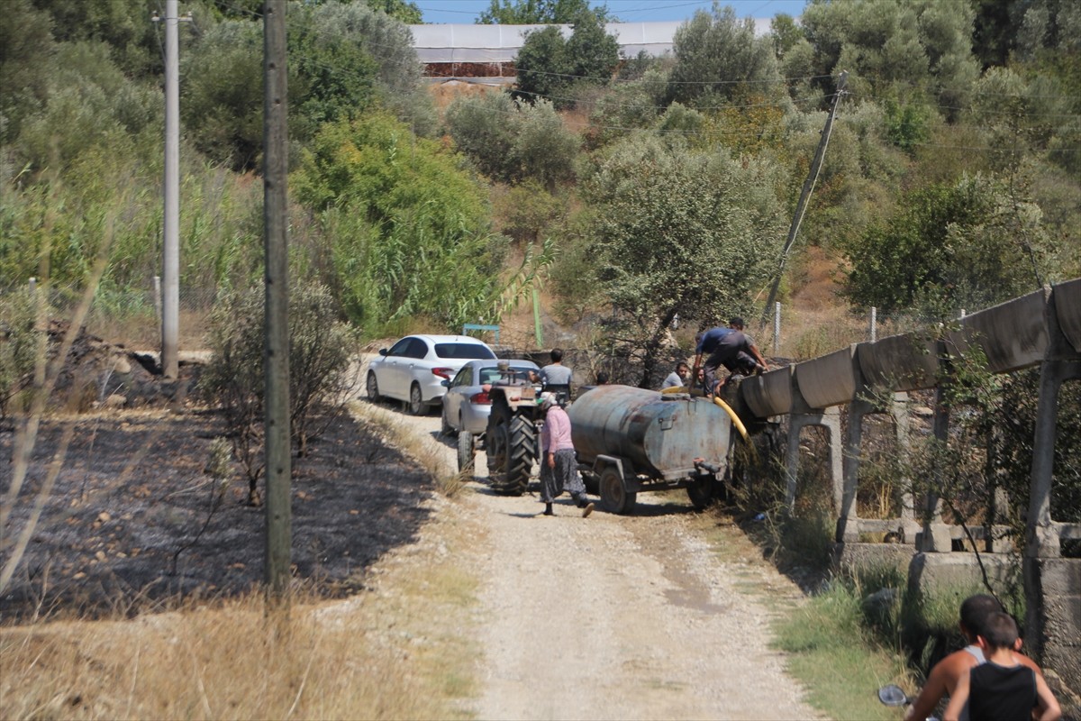 Antalya’nın Serik ilçesinde makilikten ormanlık alana, zeytin ve narenciye bahçelerine sıçrayan...