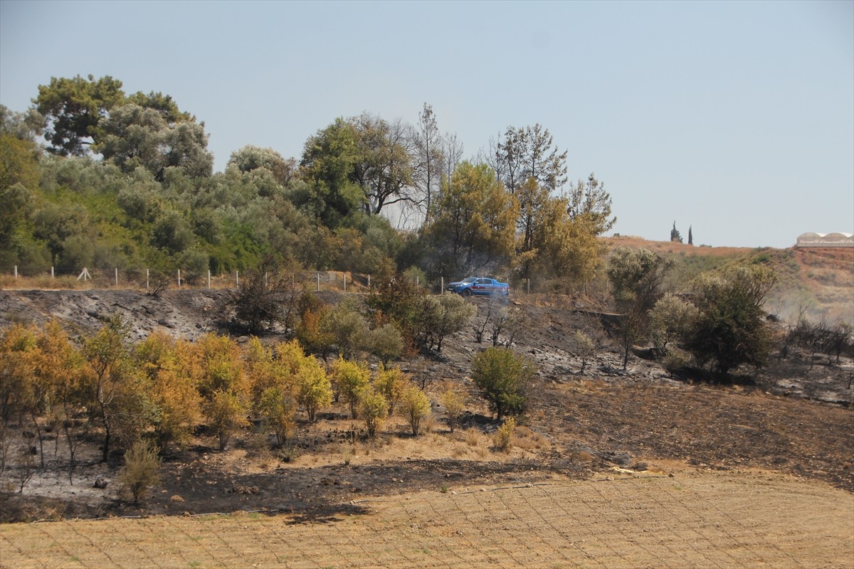 Antalya’nın Serik ilçesinde makilikten ormanlık alana, zeytin ve narenciye bahçelerine sıçrayan...