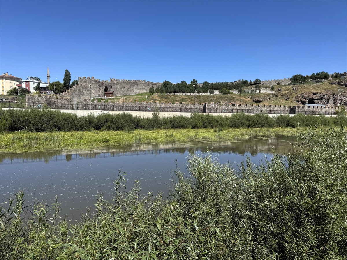 Ardahan'da hava sıcaklığının etkisiyle suyu azalan Kura Nehri'nde yoğun yosun oluştu.