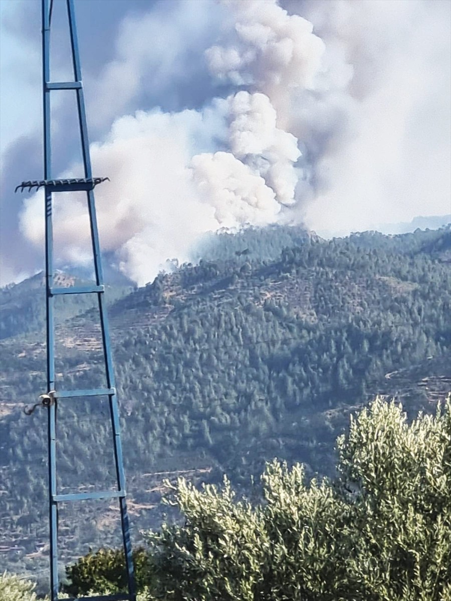 Aydın'ın Bozdoğan ilçesinde çıkan orman yangını havadan ve karadan müdahaleyle söndürülmeye...