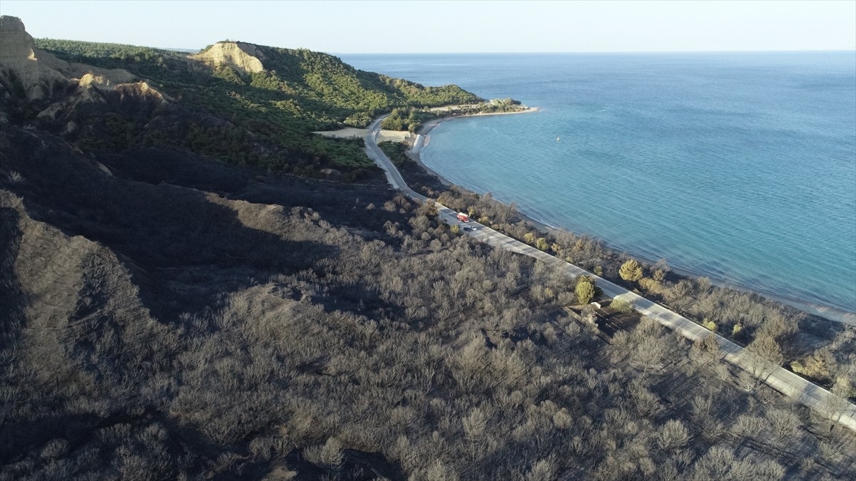 Çanakkale'de 21 saattir devam eden orman yangınının zarar verdiği Tarihi Gelibolu Yarımadası dron...