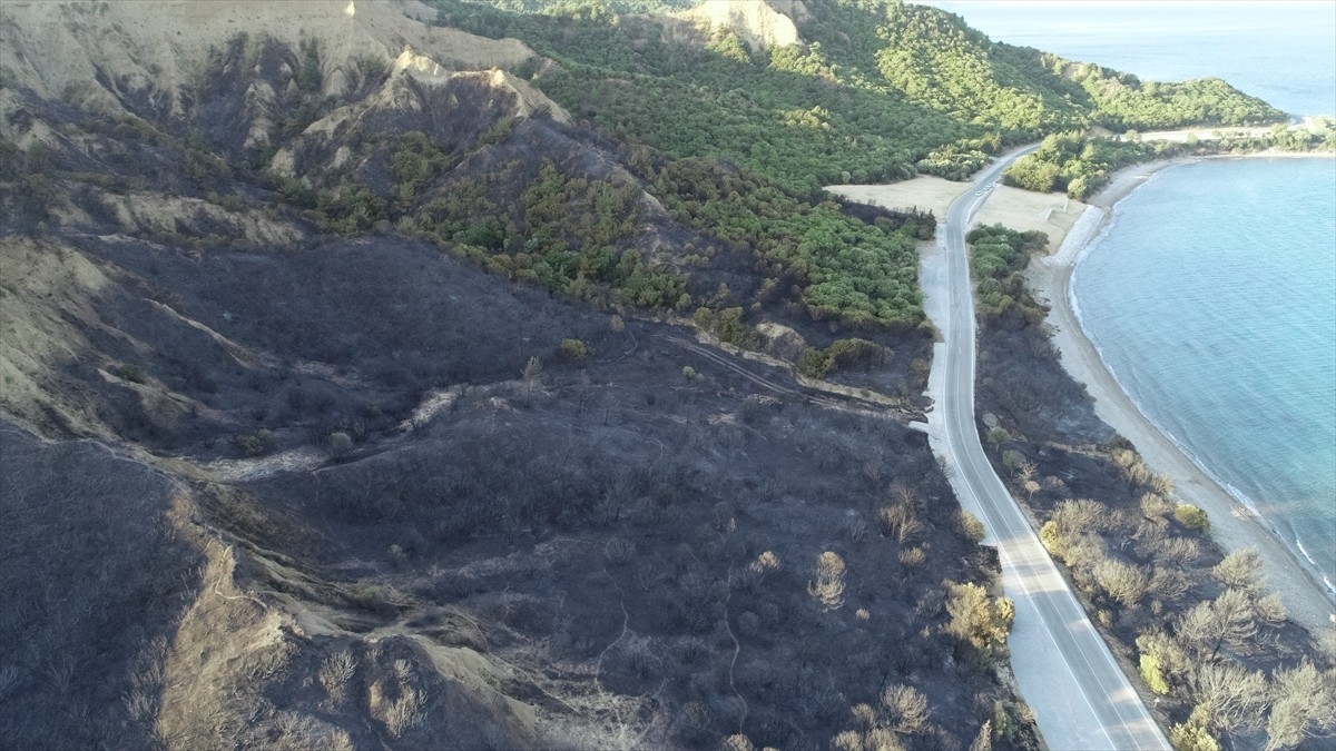 Çanakkale'de 21 saattir devam eden orman yangınının zarar verdiği Tarihi Gelibolu Yarımadası dron...