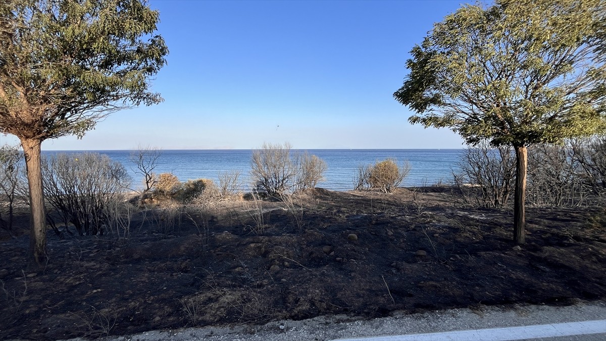 Çanakkale'de 21 saattir devam eden orman yangınının zarar verdiği Tarihi Gelibolu Yarımadası dron...