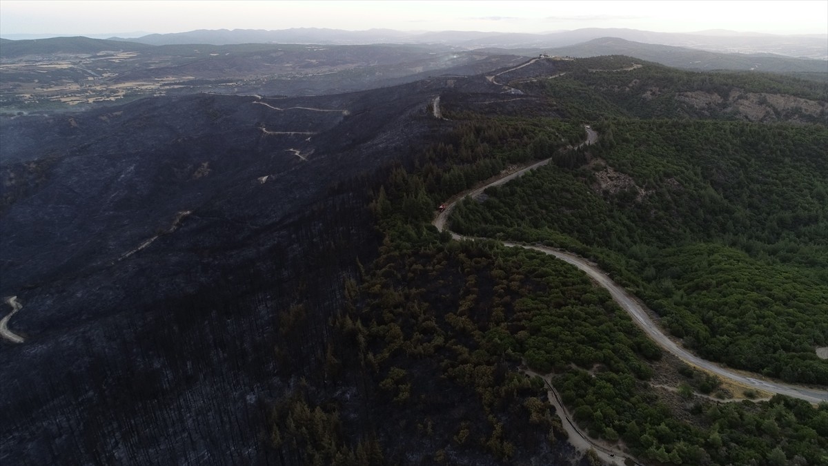 Çanakkale'de 21 saattir devam eden orman yangınının zarar verdiği Tarihi Gelibolu Yarımadası dron...